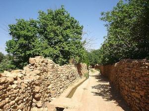 les jardin d'autrefois a laghouat