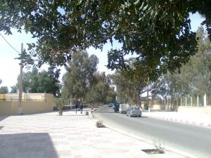Route des Pins, Laghouat