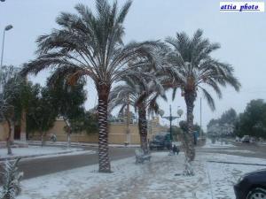 laghouat sous la neige 04