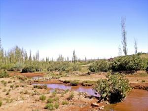 Jardin de Oued Moura