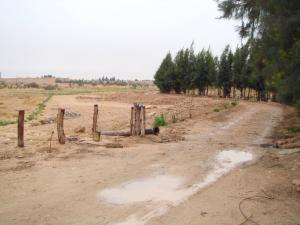 Gnefid sous la pluie