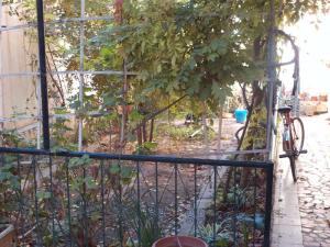 Dans La Cour De Mon Uncle