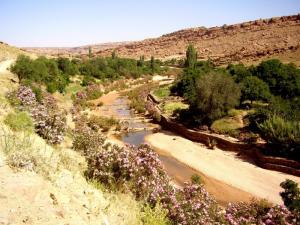 Oued El Ghicha - source du oued m'zi -
