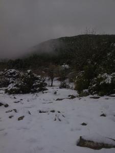 oum el bouaghi 2011 03  45