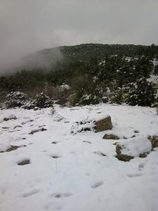 oum el bouaghi 2011 03 08