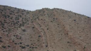 ACHAIB OUZEMOUR DAMOUS 2 -AIN ZITOUN OUM EL BOUAGHI