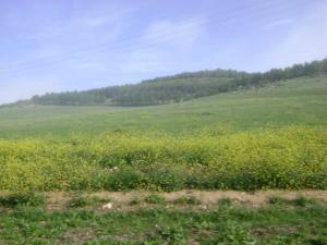 Le paysage de  AIN BEIDA