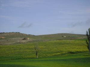 Le paysage de  AIN BEIDA