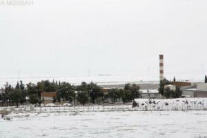 SONITEXT- LA MESKIANA