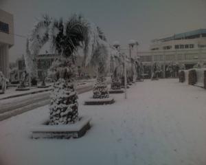 Oum el Bouaghi sous la neige