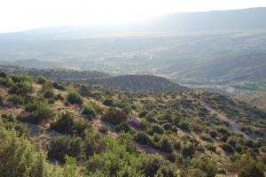 bouzina/batna            ALGERIE