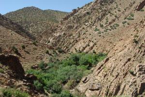 hammam arbiaa/ batna     ALGERIE