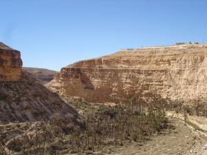 Les gorges de Rhoufi (Batna, algérie)