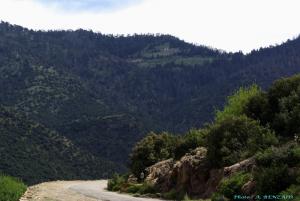 Route Oued el Ma à Batna par le Telmet