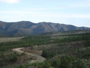 Piste reliant Pasteur à Batna (par ravin bleu.)