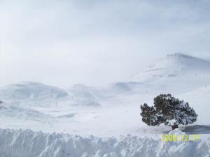 EL-Mahmal BATNA Algerie