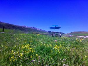 Oued Taga, Batna, Aurès