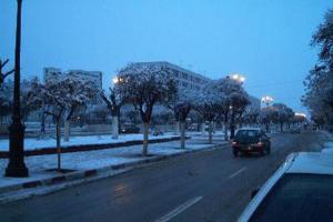 Batna les allées (le stand)