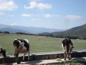 Limite sud ouest de la commune de Seriana