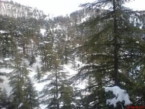 el bordj ali nemeur Belezma Park