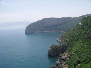 Bejaia - Cap carbon 9