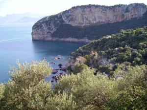 cap carbon bejaia algerie