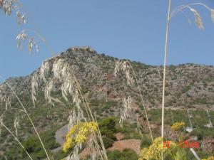 YAMMA'GOURAIA-BEJAIA