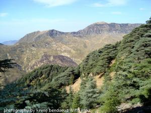 Montagne De Tababorthe