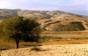 Aurès mountains near Biskra