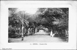 Jradin du 05 Juillet Biskra