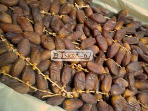 deglet nour biskra-07.com