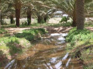 TOLGA  biskra-07.com