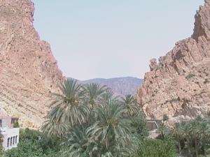 el kantara wilaya de biskra algérie