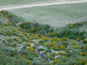 El-Kantra Biskra algerie