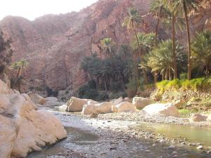 M'chouneceh( Biskra)