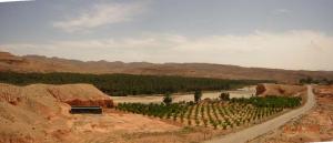 Entre l'attachement à la terre et l'enracinnement social, Mchouneche se situe aux pieds de l'Atlas saharien