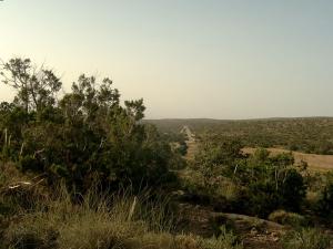 Ah Frah (Ain Zaatout) Adhrer