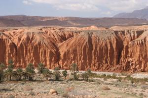 Secteur de M'Chouneche