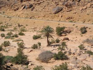 La route vers Bechar