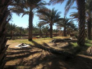 bouyahyaoui abdelali igli bechar djanan