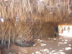 bouyahyaoui abdelali ligne igli bechar