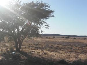 bouyahyaoui abdelali ligne n 6 vers igli bechar