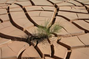 sol asséché Sahara