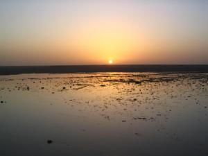 couché à l'oued de Béni-Abbes
