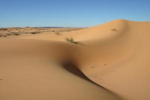 Dunes Sahara