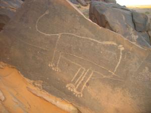 Taghit gravures rupestres