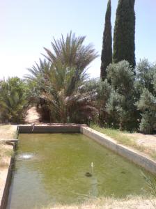 l'oasis de ouarourout