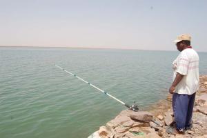 les pecheurs de nchiha kerzaz