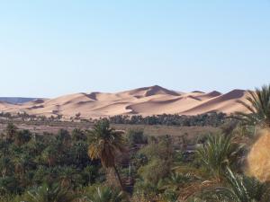 Vue de la palmeraie et des dunes de Béni Abbès