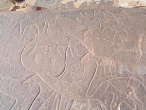 gravures rupestres Taghit